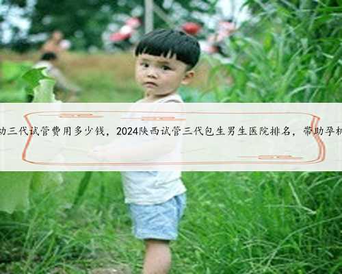 陕西省妇幼三代试管费用多少钱，2024陕西试管三代包生男生医院排名，带助孕