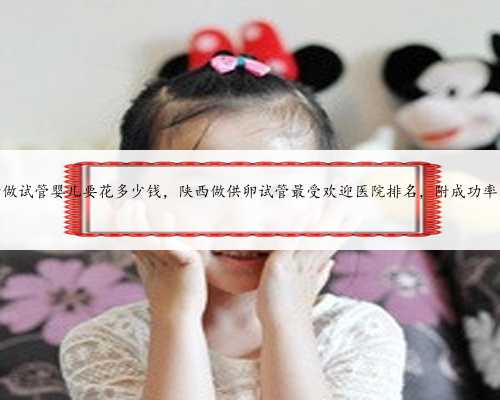 陕西省妇幼做试管婴儿要花多少钱，陕西做供卵试管最受欢迎医院排名，附成功